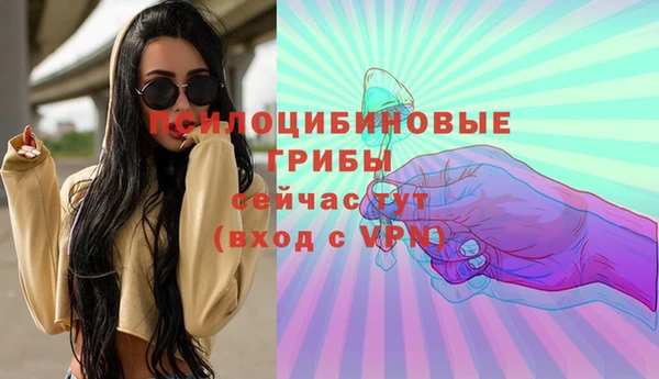 трава Балахна